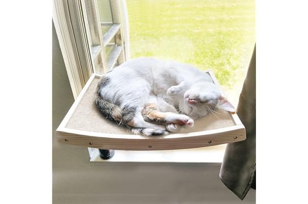 best cat window seats