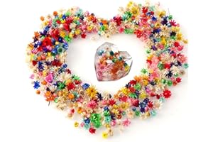 SUXGUMOE Flores secas, 300 piezas de flores secas naturales multicolores mezcladas con margaritas de estrella pequeña, decorativas para hacer fundas de teléfono móvil, moldes de resina epoxi, joyería,