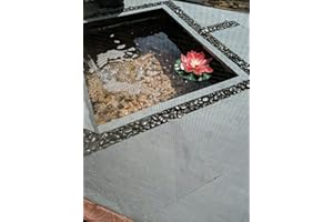 POND H2O Pondh2o Floating Solar Water Lily