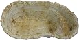 Bassin Grp Résistant Bassin De Jardin Fulda Fels Wasserkaskaden - 112x70x31 Cm - 100 Litres - Aspect Pierre Naturelle - Résine GRP Fontaine Imitation Pierre Bassin Grp Résistant Bassin De Jardin Fulda Fels Wasserkaskaden - 112x70x31 Cm - 100 Litres - Aspect Pierre Naturelle - Résine GRP Fontaine Imitation Pierre