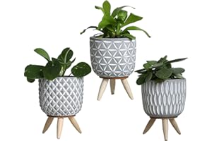comforder Macetas con patas, juego de 3 unidades, color gris, decoración bohemia, macetas suculentas de cactus, macetas para plantas de interior