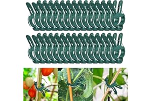 DIELIANHUA 50 Stück Pflanzenclips, Pflanzenclips für Kletterpflanzen, Pflanzenklammern, Klammern für Pflanzen, Gartenpflanze Clips Wiederverwendbar, Pflanzen Klammern für Tomaten Gemüse(45 X 30 MM)