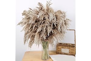 Koprek 20 Pcs Fluffy Pampas Grass Artificial, 60cm Tall Pampas Grass Boho Room Decor, Natural Dried Pampas Bouquet Grass, Used for DIY, Wedding, Table Living Room Vases Home Decor(Brown)