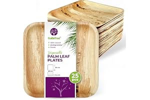 GoBeTree 25 Palmbladstallrikar Engångs Fyrkantiga 25 cm för Bröllop