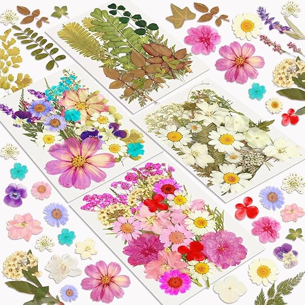 Ruzister 280 Petites Fleurs Séchées Pour Travaux Manuels – Mini