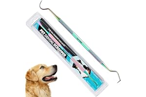 AFTREN Grattoir à dents de chien 2 pièces mise à niveau pour enlever le tartre pour animaux de compagnie différents Angles Double tête en acier inoxydable outils de nettoyage des dents pour chiens