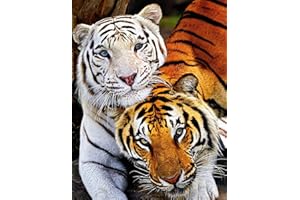 Bougimal 5D Bordado Diamante Tigre Kit Pintura Diamante Kits Craft Fotos para Decoración Hogar Pared 40 X 50 cm