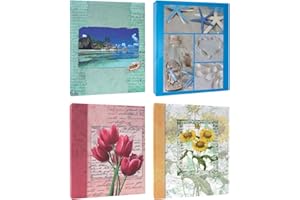 Zep AV57300 - Album Carta Bolsillos, 300 fotos, multicolor, 13 x 19 cm, 1 unidad [modelos surtidos]