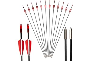 AMEYXGS 12/24pcs Tiro con L'Arco Frecce in Vetroresina 31" Frecce per Tiro al Bersaglio Spine 900 per Caccia e tiro