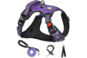 NESTROAD Harnais pour chien anti-traction, harnais Oxford réglable avec laisse, harnais réfléchissant anti-étranglement pour animal domestique avec poignée souple à contrôle facile pour chiens de