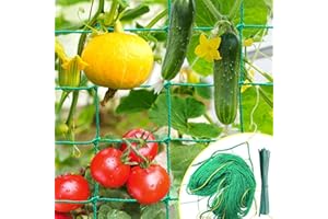 IKSAMY Rete per Piante Rampicanti 2x3m con Maglia Larga, Rete per Cetrioli - Rete per Piante Rampicanti, Supporto Ideale per Cetrioli, Pomodori, Giardini, Accessori per Serre