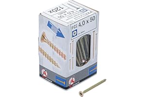 BGS Diy 88045 | Vis multifonctions | cruciforme PZ2 | 4,0 x 50 mm | 120 pièces