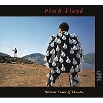 洋楽 PINK FLOYD / Delicate Sound of Thunder Pink Floyd Delicate Sound Of Thunder 180g 3LP
