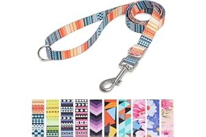 Suredoo Correa para Perros Nylon, Correa de Adiestramiento Ajustable y Resistente para Perros Pequeños, Mediano y Grande, Mascotas,Gatos, 120 x 2.0cm (Naranja)