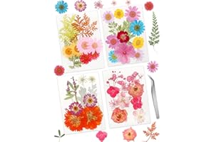 Cinvo 48 piezas de flores y hojas prensadas secas reales, pétalos secos naturales con pinzas para velas, joyas, jabón, uñas, colgante, funda de teléfono, manualidades, decoración floral, adornos de