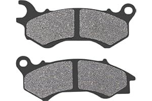 Road Passion Pastillas de Freno Compatible con HONDA PCX 125 (WW 125 EXZA-10) 2010-2013 / SH 125i Mode (ANC 125 E) 2014-2020 / KYMCO People One 125i 2016-2020