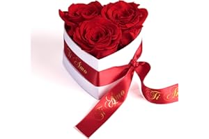 ROSEMARIE SCHULZ Heidelberg Infinity Rose Box Cuore – 10 x 12 cm 3 rose conservate durano 3 anni – migliore amica regalo (Ti Amo, rosso)