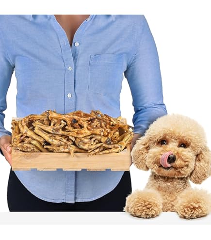 Gedroogde Eendennekken – Kauwsnack voor Jouw Hond