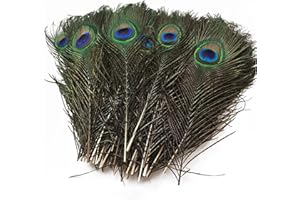 OHYER 15 Pezzi Naturali Pavone Piume di Coda Penne della Coda di Pavone Piume Decorative da 25-30 cm per Matrimoni Feste Decalcomanie Costume Cappello Artigianato e Decorazioni per la Casa (Verde)