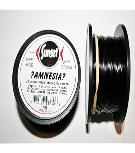 SUNSET AMNESIA -  Boulogne Sur Mer