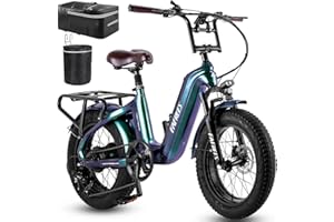 Fafrees F20Master Bici Elettrica per Adulti 48V 22.5AH 1080Wh Bicicletta Elettrica 20" x4.0 Pneumatico Grasso Ebike Autonomia Fino a 160KM, Freni a disco idraulici
