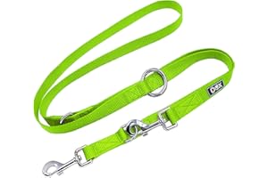 DDOXX Smycz dla Psa, Nylonowa | Smycz Automatyczna, 3-Krotnie Regulowana, 2m | Smycz dla Małych i Dużych Psów | Smycz Holownicza| Smycz dla Kota | Akcesoria dla Psa | Smycz dla Psa Flexi | Zielony XS