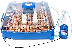 Borotto LUMIA 56 Expert - Incubateur Oeuf Automatique Professionnel et Breveté en ABS Isolant et Antibactérien, avec Humidificateur Automatique Sirio - pour 56 œufs ou 224 œufs petits