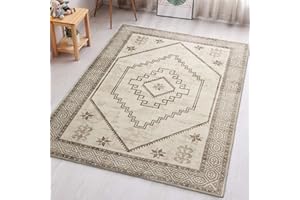 Aspire Homeware Rugs for Bedroom Living Room - Traditional Area Rugs 40x60 cm Radiant Cashmere Style Soft Short Pile Vintage Rug - Carpet for Dining Room Easy To Clean
