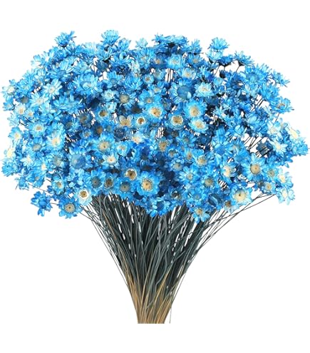 HUAESIN 120PCS Fiori Secchi Coda Di Coniglio Erba Della Pampas