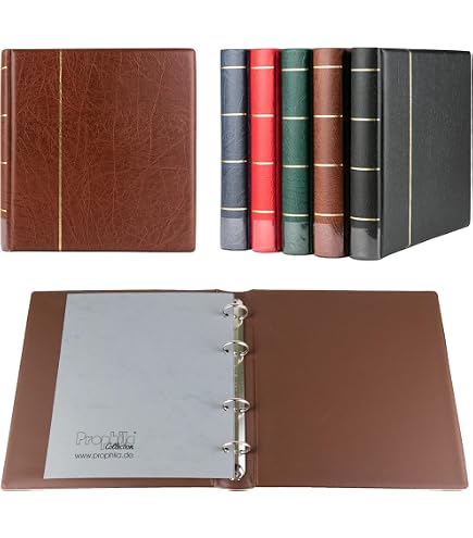 20 Pochettes Cristallines Prophila Pour Cartes Postales - Format Externe 170x222 Mm, Sac 150x108 Mm - Perforation Universelle Pour Classeur A6