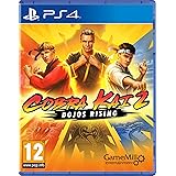 Cobra Kai 2: Dojos Rising, PlayStation 4