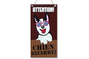 CARISPIBET Attention! Chien bizarre! | Enseignes decoratives pour chez vous, décoration pour une cour, enseignes de maison 30 x 15 cm