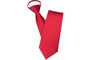 JEMYGINS - Cravatta da uomo con chiusura lampo, look elegante in pochi secondi