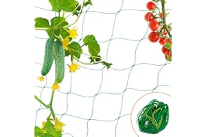 ‎VEGAMALL Ranknetz Gurken, Fläche 15m² Rankhilfe Gurken Ranknetz mit 50 Kabelbindern, 5 x 3m Rankhilfen Tomaten Gitter Netz für Kletterpflanzen Pflanzennetz mit Großer Maschenweite für Garten und Gewächshaus