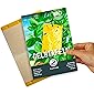 Plantura Gelbtafeln, 40 kleine Gelbsticker, insektizidfrei & geruchlos, gegen Trauermücken & andere Fliegende Schädlinge