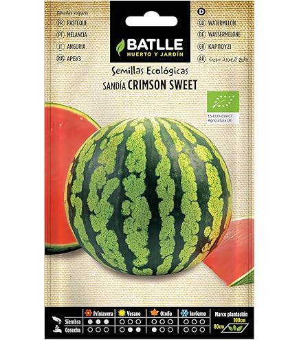 Pastèque Sugar Baby - Vente En Ligne Au Meilleur Prix