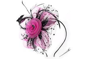 DRESHOW Fascinator Hüte für Damen Pillbox Hut mit Schleier Stirnband und Einer Gegabelten Clip Tea Party Kopfbedeckung