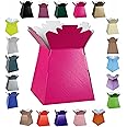 Glossy Vibrant Bouquet, Flower Box/Vase - Transportation Display, Presentation Boxes (2, Fuchsia)