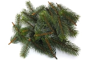 GASPER TANNENSTREU REAL künstlich, 24 Teile. Größe ca 8, 10, 13 cm. 24 kleine Tannen,- Zweige/Triebe.