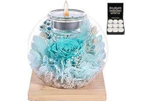 FRFG Eternal Flower Konservierte Rosen Glasglocke-Deko-Geschenk für Muttertag/Geburtstag/Hochzeitstag mit Natürl. Duft & Holzständer | Geschenk für Mama, Frau, Oma (Cyan)
