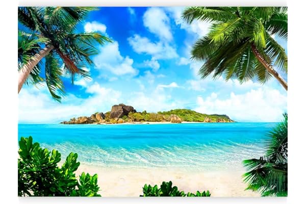 murando Fotomurales Palmas 250x175 cm XXL Papel pintado tejido no tejido Decoración de Pared decorativos Murales moderna de Diseno Fotográfico Mar Playa Nube Verde c-B-0271-a-a