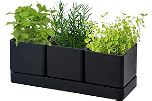 D'vine Dev Herb Garden Planter Set, Plastic Plant Pots with Drainage and Saucer, Indoor Succulent Cactus Vegetable Pot for Windowsill, Garden Balcony, Black, Set of 1, 76-V-B-1