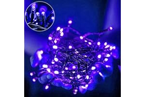 AURSTORE BASA Guirlande Lumineuse 8 Mode 10M 100 LED, Décoration Romantique pour Sapin de Noël Mariage Fête,Guirlande Intérieure (Fil Vert, Bleu)
