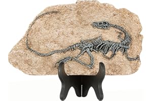 1st Heaven Dinosaurier-Skelett aus Harz – Deko-Fossil im Vintage-Stil, simuliertes Dino-Fossil für Zuhause & Büro, originelles Geschenk für Erwachsene (Stil B)
