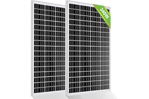 ECO-WORTHY 340W 12 Volt Monokristallines Solarmodul, 2 Stücke 170W Solarpanel Ideal zum Aufladen von 12V Batterien, für Wohnm