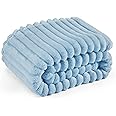 Bedsure Blue Fleece Blanket for Couch - GentleSoft Cozy Soft Blankets for Women, Cute Little Throws for Girls, Light Blue, 127 x 152 cm