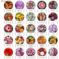 Kraft Seeds Varieties of Summer Flower Seeds (Multicolour, Pack of 25)
