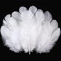 300 Piume D'Oca Colorate 3-5 Pollici - Rosa/Fucsia Per Artigianato E Decorazioni - Foto 3