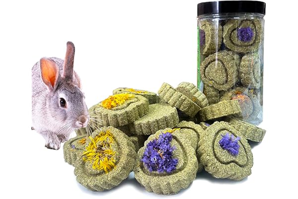 FIPASEN Jouets à Mâcher pour Lapin Nain, Lot de 18 Jouets à Mâcher Timothy Hay Naturel, Améliorer la Santé Dentaire pour Lapin/Chinchilla/Cobaye/Hamsters, Jouets pour Petits Animaux à Mâcher