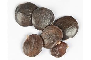 DIXIS SAMEN Blauregen Wisteria sinensis 5 Samen